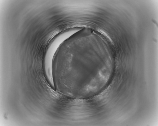 X0000098130777200805080957