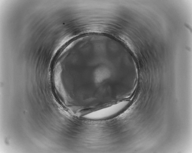X0000098130779200805080957