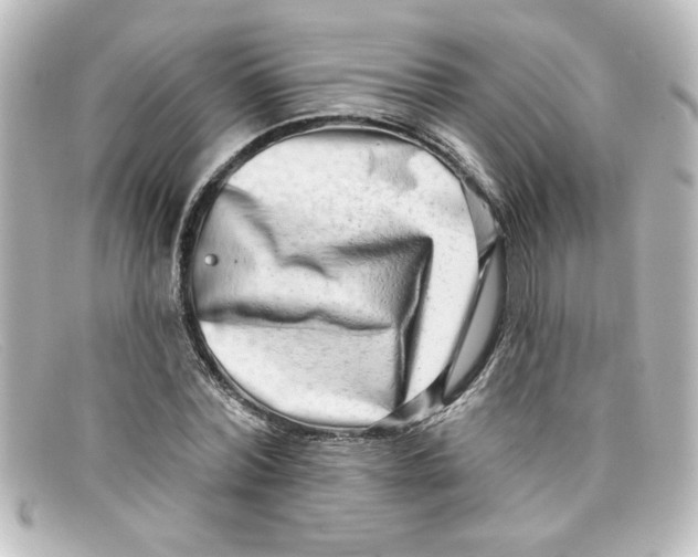 X0000098130780200805080957