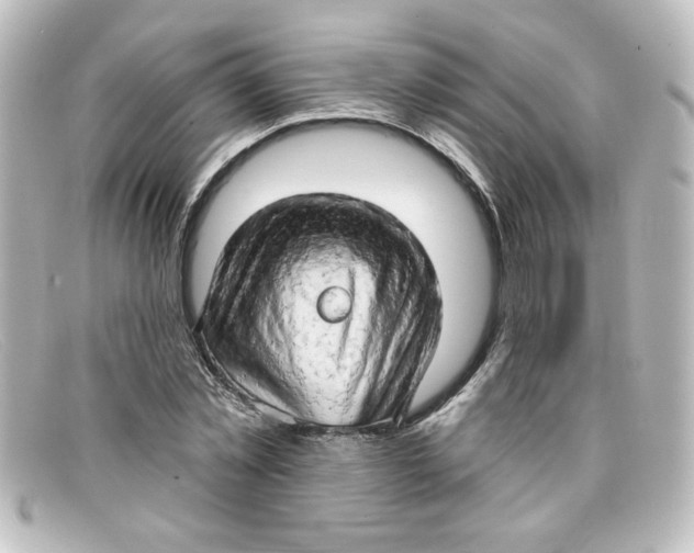 X0000098130781200805080957