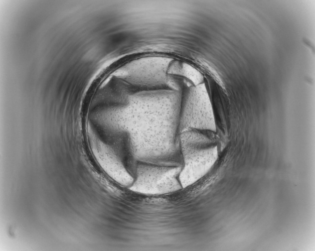 X0000098130784200805080957