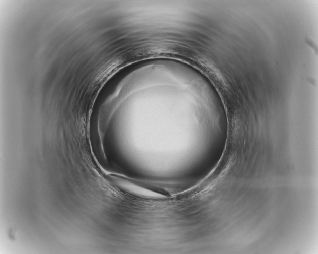 X0000098130785200805080957