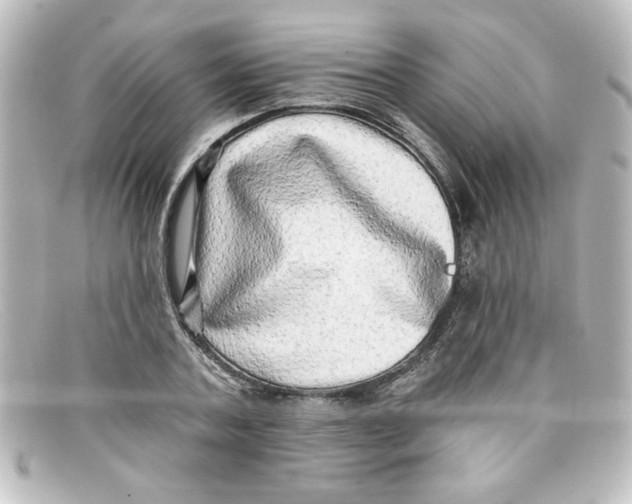 X0000098130787200805080957
