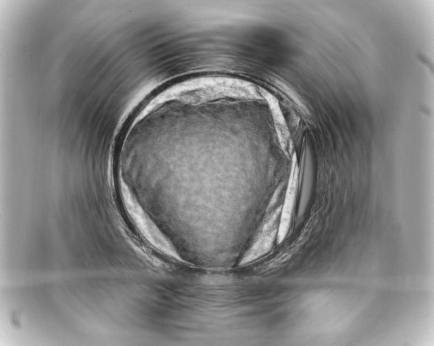 X0000098130788200805080957