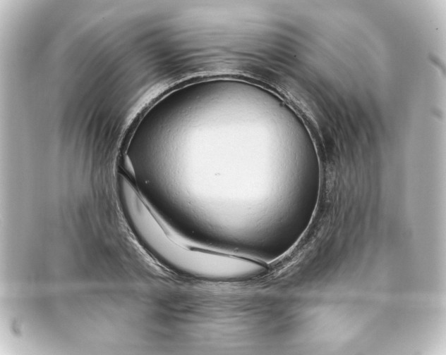 X0000098130789200805080957
