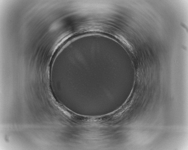 X0000098130790200805080957