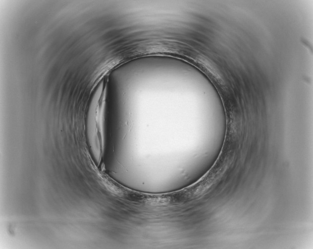 X0000098130793200805080957