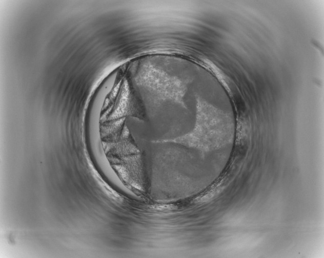 X0000098130795200805080957