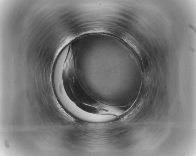 X0000098130797200805080957