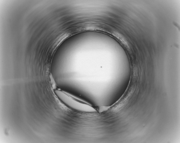 X0000098130801200805080957