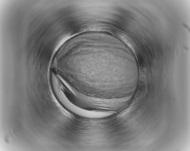 X0000098130803200805080957