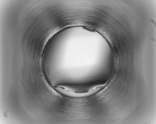 X0000098130805200805080957
