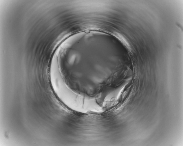 X0000098130806200805080957