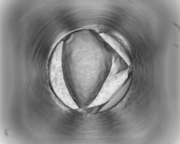 X0000098130808200805080957