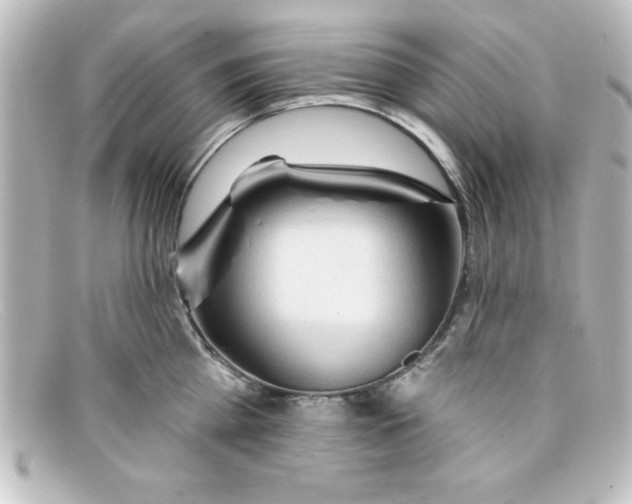 X0000098130809200805080957
