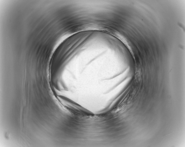 X0000098130811200805080957