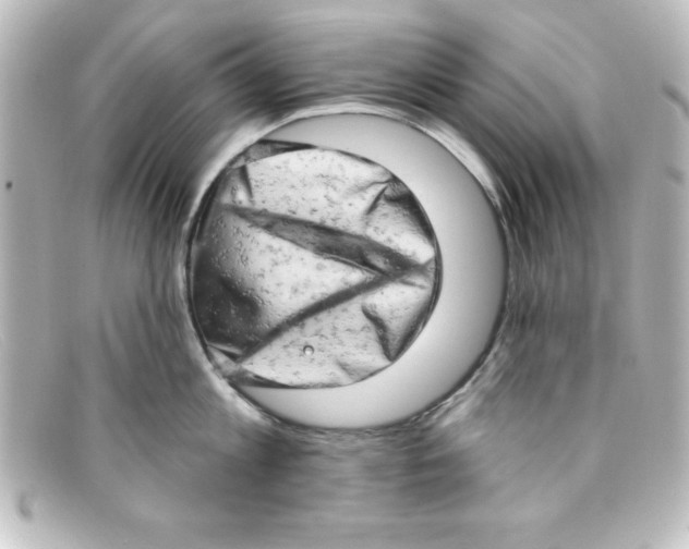 X0000098130813200805080957