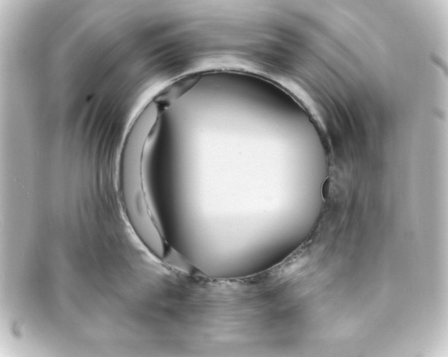X0000098130815200805080957