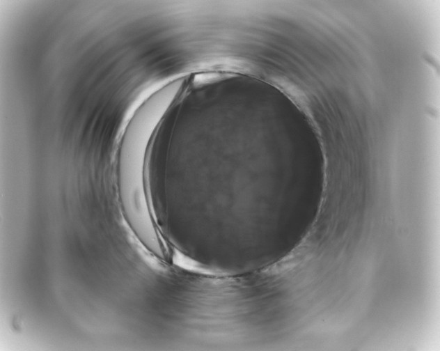 X0000098130816200805080957