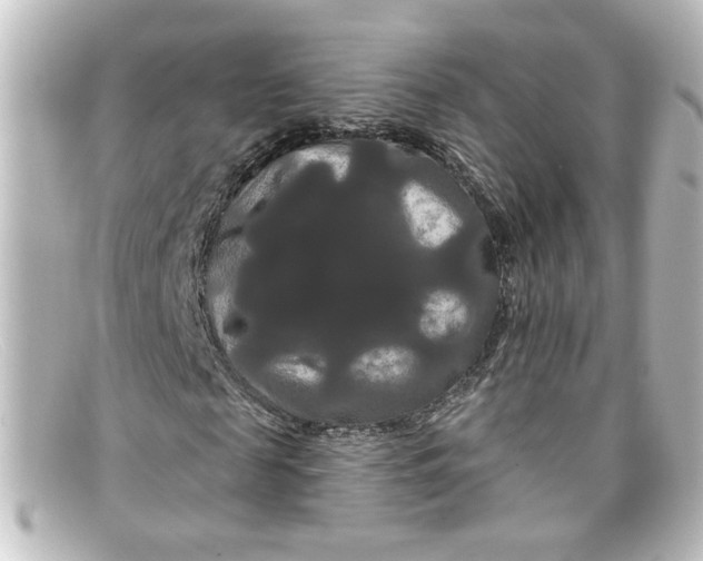 X0000098130817200805080956