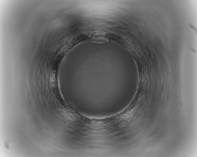 X0000098130818200805080956