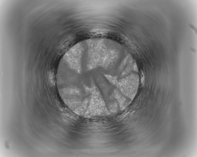X0000098130819200805080956