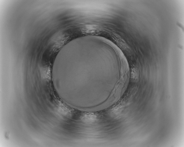 X0000098130820200805080956