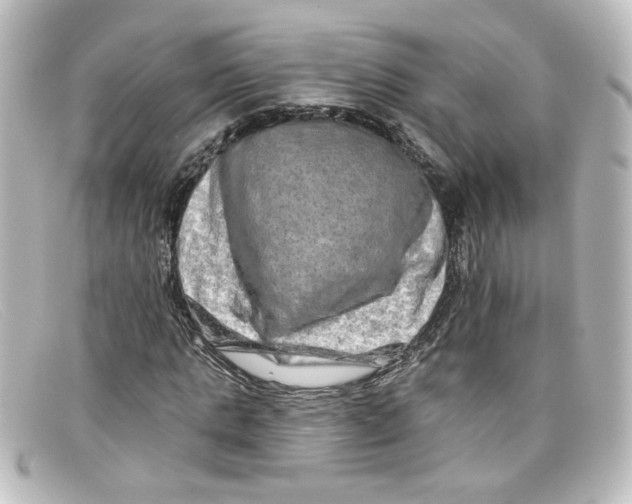 X0000098130821200805080956