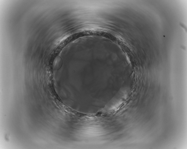 X0000098130822200805080956