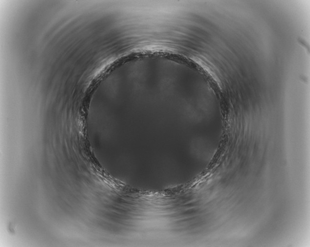X0000098130823200805080956