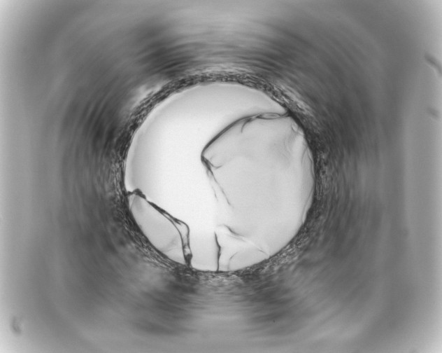 X0000098130824200805080956