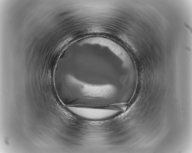 X0000098130825200805080956