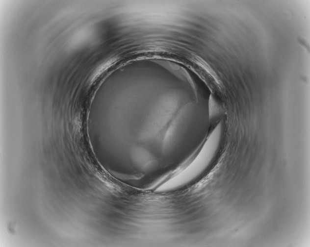 X0000098130826200805080956