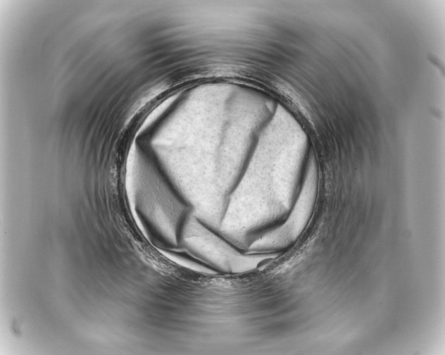 X0000098130827200805080956