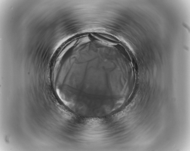 X0000098130830200805080956