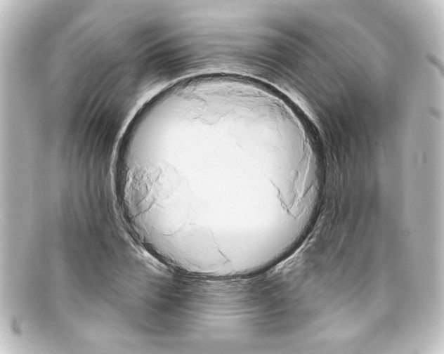X0000098130832200805080956