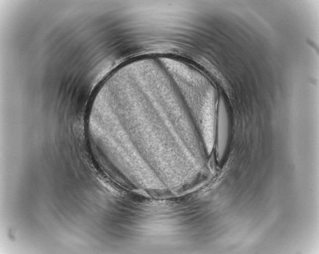 X0000098130834200805080956