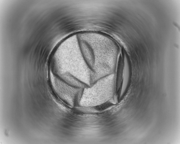 X0000098130838200805080957