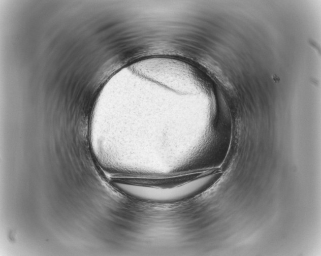 X0000098130841200805080957