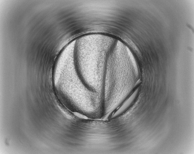 X0000098130842200805080957