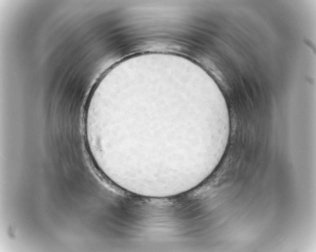 X0000098130848200805080957