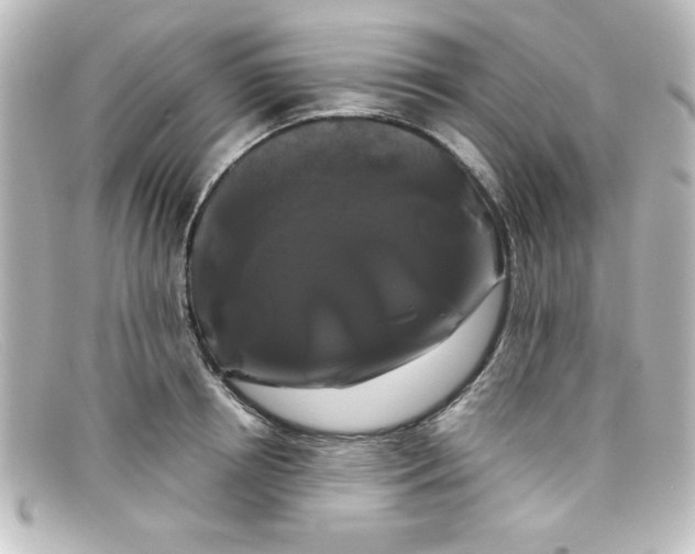 X0000098130850200805080957