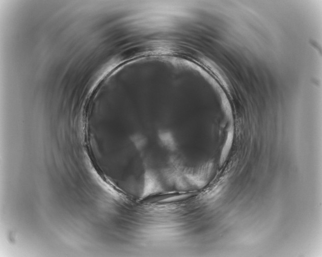X0000098130851200805080957