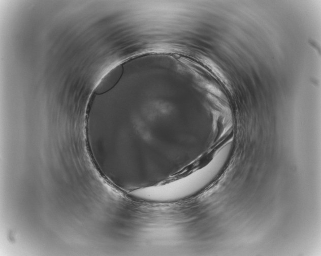 X0000098130853200805080957