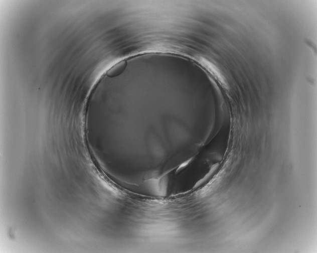 X0000098130854200805080957