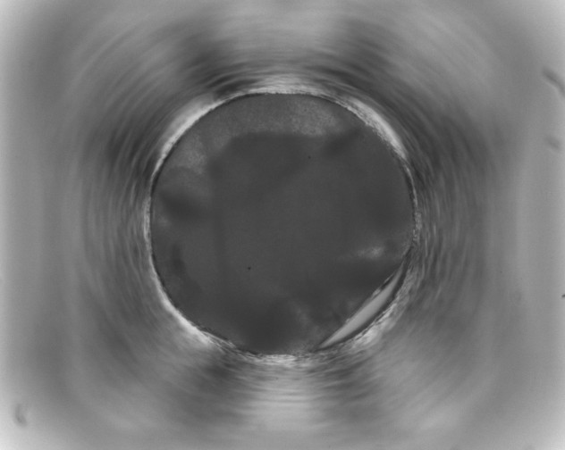 X0000098130855200805080957
