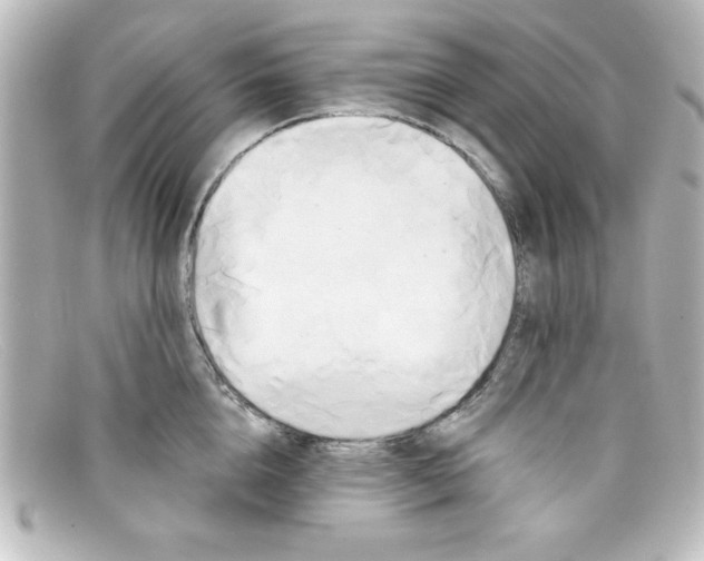 X0000098130856200805080957