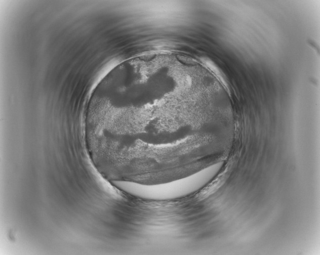 X0000098130859200805080957