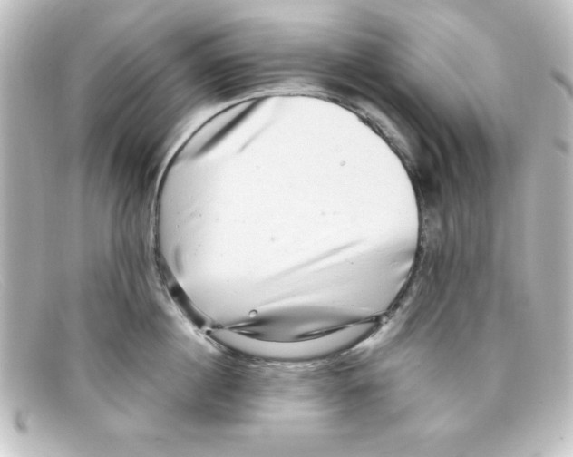 X0000098130860200805080957