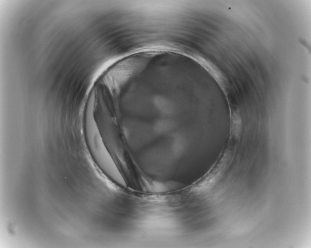 X0000098130862200805080957